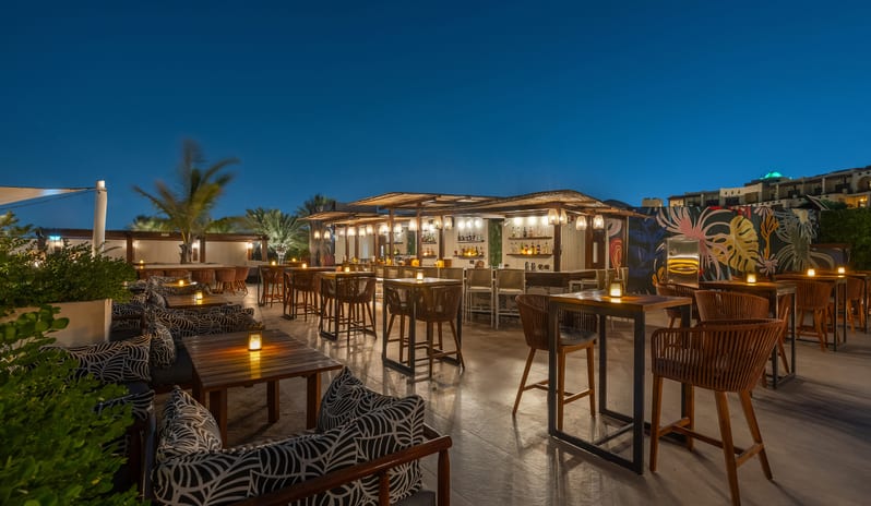 Arela - Adults only bar(4)